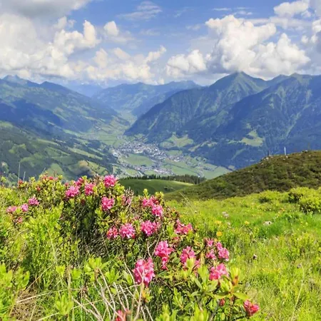 Graceful Penthouse With Terrace Apartment Bad Gastein